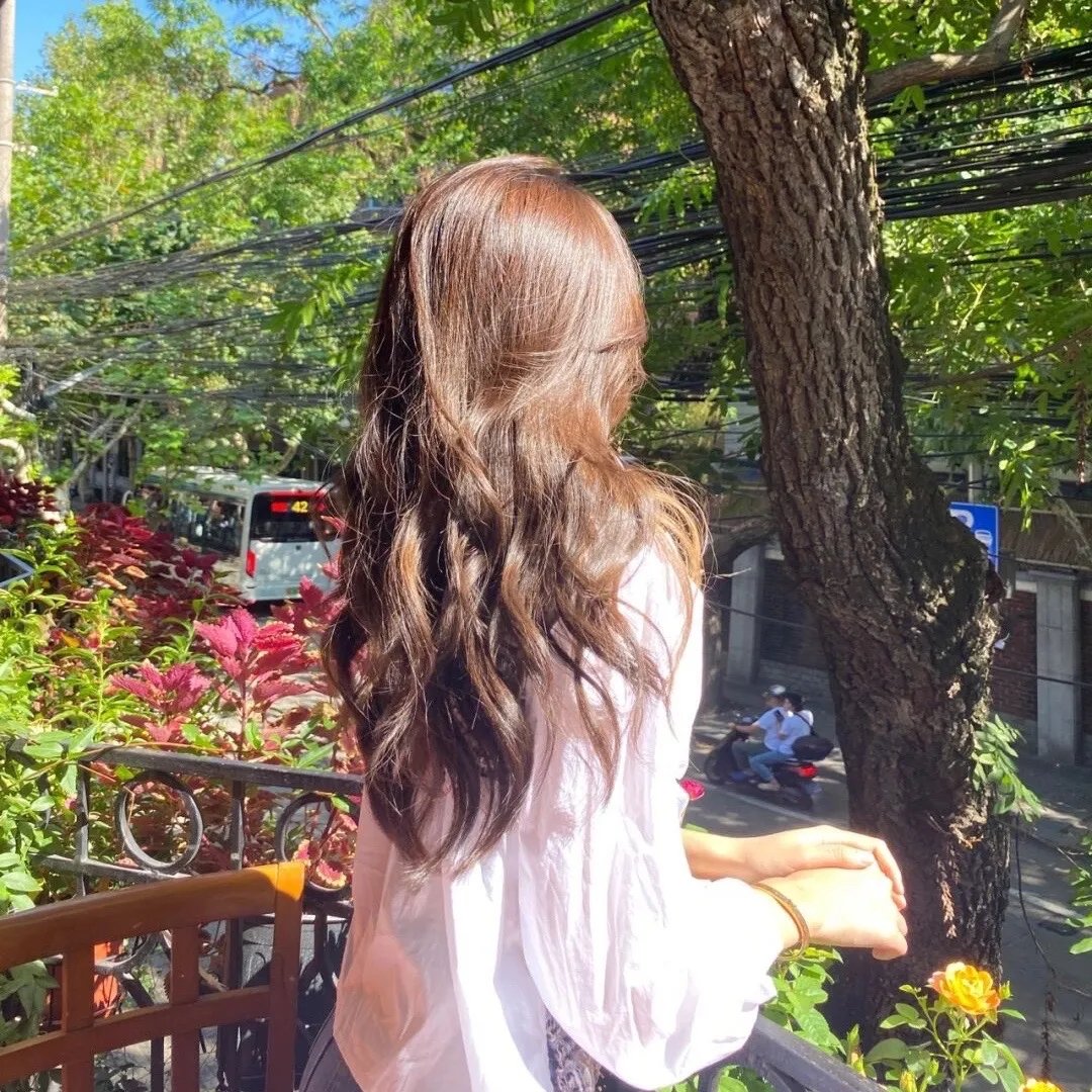 铁蹄慈泪