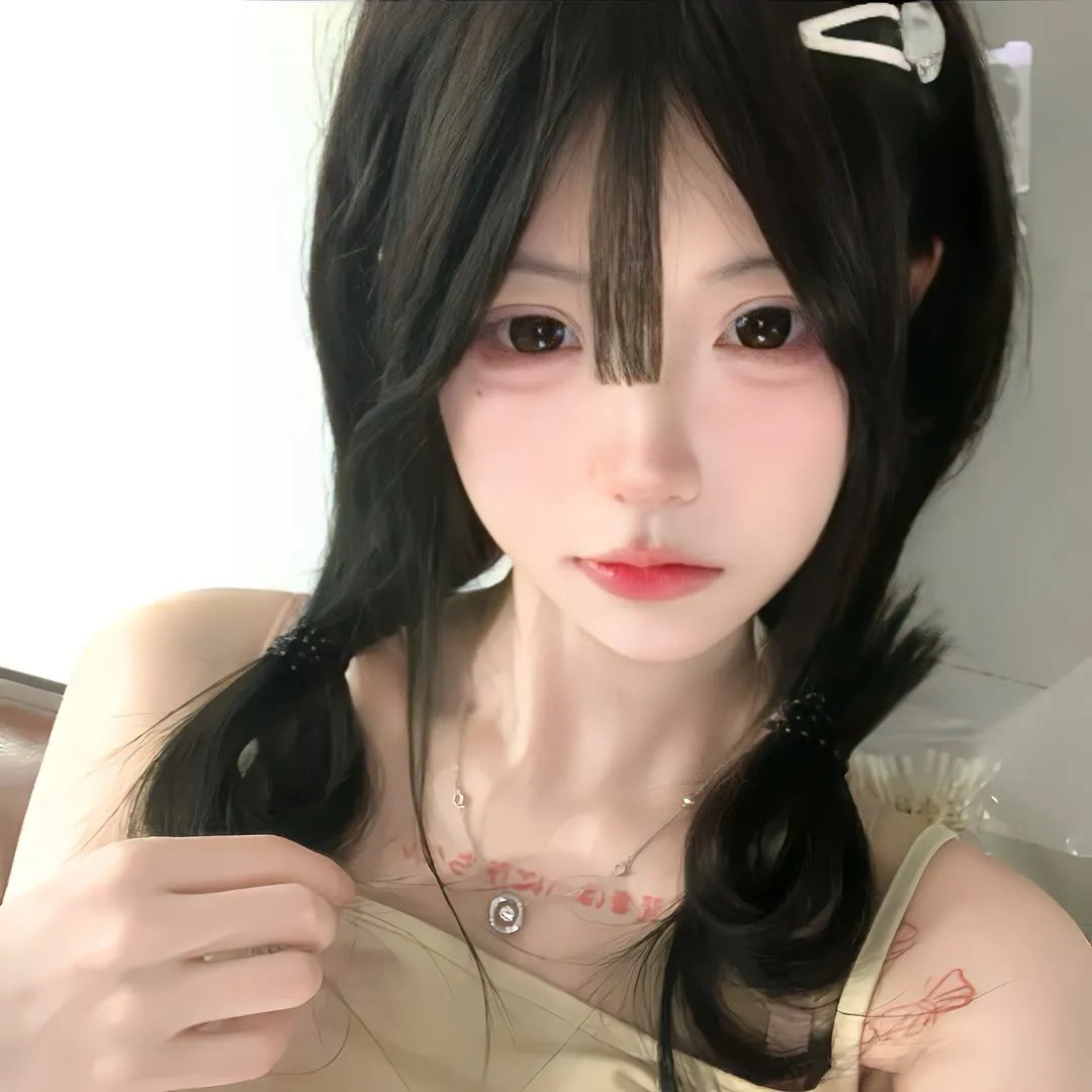 侠盗正传